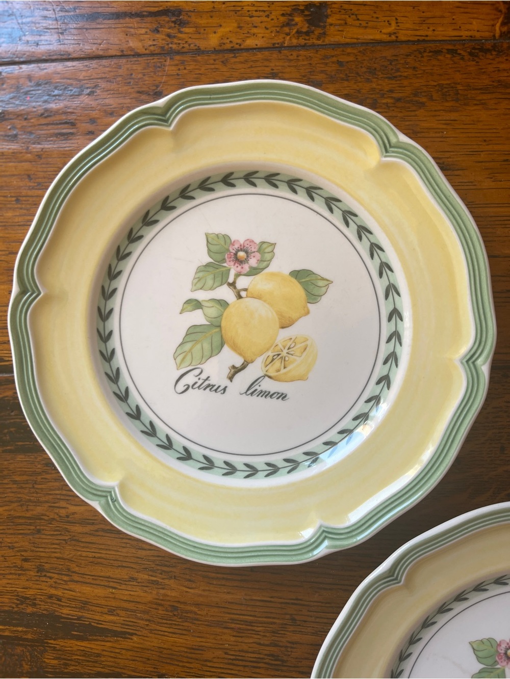 TwoVilleroy & Boch Lemon French Garden ‘Valence’ Salad Plates 8”Yellow and Green - Picture 3 of 4